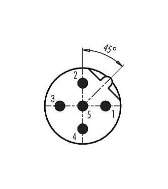 Contact arrangement (Plug-in side) 86 0533 1000 00005 - M12 Male panel mount connector, Contacts: 5, unshielded, THT, IP68, UL, PG 9, front fastened