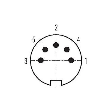 Contact arrangement (Plug-in side) 09 0319 80 05 - M16 Male panel mount connector, Contacts: 5 (05-b), unshielded, solder, IP40, front fastened