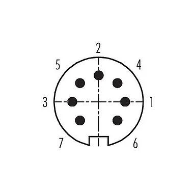 Contact arrangement (Plug-in side) 99 5681 15 07 - M16 Male cable connector, Contacts: 7 (07-b), 6.0-8.0 mm, shieldable, solder, IP67, UL