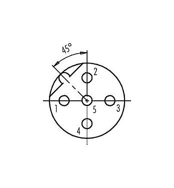 联系安排 (外掛程式側) 99 0436 15 05 - M12 直头孔头电缆连接器, 极数: 5, 4.0-6.0mm, 非屏蔽, 螺钉接线, IP67, UL