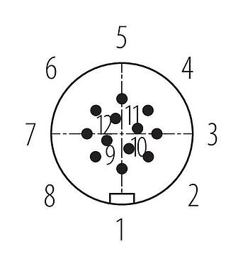 Contact arrangement (Plug-in side) 99 9133 472 12 - Snap-In Male cable connector, Contacts: 12, 6.0-8.0 mm, unshielded, solder, IP67