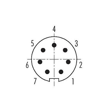 Contact arrangement (Plug-in side) 09 0423 35 07 - M9 Male panel mount connector, Contacts: 7, shieldable, THT, IP67, front fastened