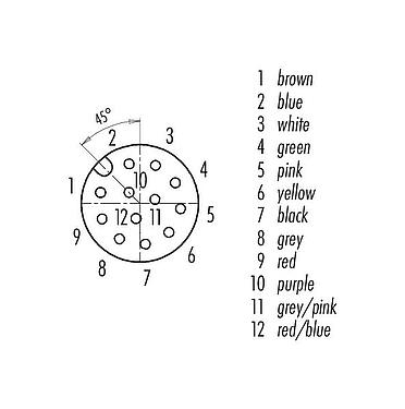 联系安排 (外掛程式側) 76 0932 0111 00012-0200 - M12 孔头方型法兰座, 极数: 12, 非屏蔽, 带导线, IP40, UL, 方形