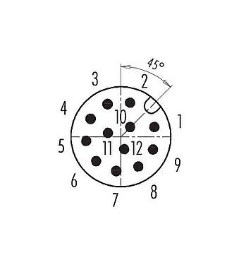 联系安排 (外掛程式側) 99 1491 914 12 - M12 直头针头电缆连接器, 极数: 12, 8.0-10.0mm, 可接屏蔽, 焊接, IP67, UL