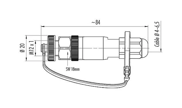 比例图 99 0430 684 04 - M12 直头孔头电缆连接器, 极数: 4, 4.0-6.5mm, 非屏蔽, 螺钉接线, IP69K, 户外应用