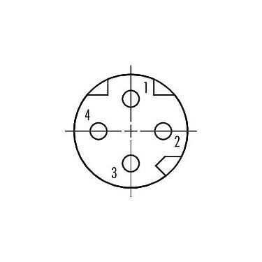 Contact arrangement (Plug-in side) 99 3368 100 04 - M8 Female cable connector, Contacts: 4, 4.0-5.5 mm, shieldable, screw clamp, IP67, M8x1.0