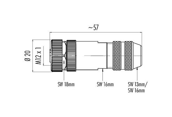 比例图 99 1526 814 04 - M12 直头孔头电缆连接器, 极数: 4, 4.0-6.0mm, 可接屏蔽, 笼式弹簧, IP67