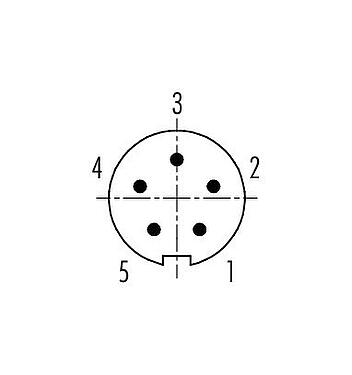 Contact arrangement (Plug-in side) 99 0995 100 05 - Bayonet Male cable connector, Contacts: 5, 3.0-4.0 mm, unshielded, solder, IP40