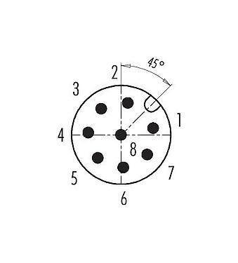 联系安排 (外掛程式側) 99 0487 282 08 - M12 直头针头电缆连接器, 极数: 8, 6.0-8.0mm, 非屏蔽, 螺钉接线, IP67, UL