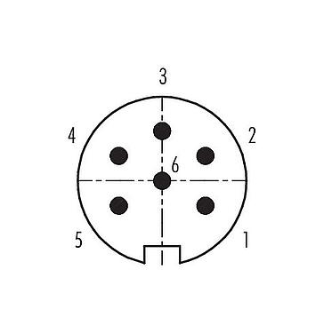 联系安排 (外掛程式側) 99 4817 00 06 - Push Pull 直头针头电缆连接器, 极数: 6, 4.0-8.0mm, 可接屏蔽, 焊接, IP67