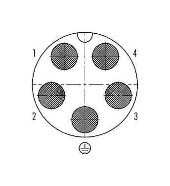联系安排 (外掛程式側) 99 6489 100 05 - 卡扣式 直头针头电缆连接器, 极数: 4+PE, 7.0-17.0mm, 非屏蔽, 压接（压接触点必须单独订购）, IP68/IP69K, UL, VDE