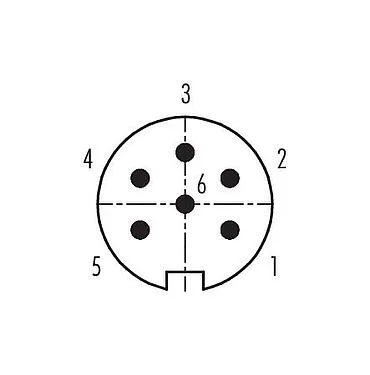 联系安排 (外掛程式側) 09 0123 99 06 - M16 针头法兰座, 极数: 6 (06-a), 非屏蔽, THT, IP67, UL, 板前固定