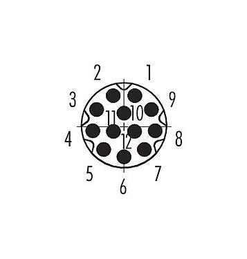 Contact arrangement (Plug-in side) 86 6119 1100 00012 - M8 Male panel mount connector, Contacts: 12, unshielded, THT, IP67, UL, screwable from the front