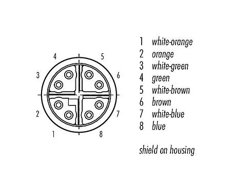 联系安排 (外掛程式側) 99 4172 00 08 - M16 直头孔头电缆连接器, 极数: 8, 5.5-9.0mm, 可接屏蔽, IDC, IP67