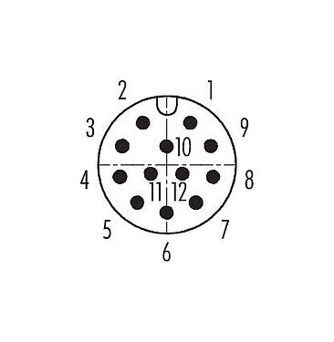 联系安排 (外掛程式側) 99 1491 822 12 - M12 弯角针头电缆连接器, 极数: 12, 6.0-8.0mm, 可接屏蔽, 焊接, IP67, UL