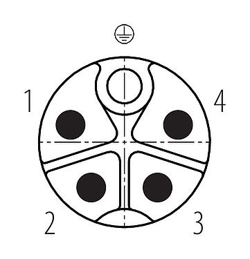 联系安排 (外掛程式側) 99 0699 370 05 - M12 弯角针头电缆连接器, 极数: 4+PE, 8.0-13.0mm, 非屏蔽, 螺钉接线, IP67, UL 2237正在准备中, 带PE接口