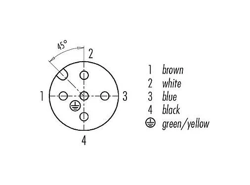 联系安排 (外掛程式側) 77 3434 0000 80005-0200 - M12 弯角孔头电缆连接器, 极数: 5, 非屏蔽, 预铸电缆, IP69K, UL, PUR, 橙色, 5x0.34mm², 用于焊接应用, 2m