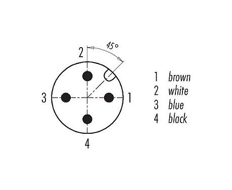 Contact arrangement (Plug-in side) 77 3727 0000 50004-0200 - M12 Male angled connector, Contacts: 4, unshielded, moulded on the cable, IP69K, UL, PUR, black, 4 x 0.34 mm², stainless steel, 2 m