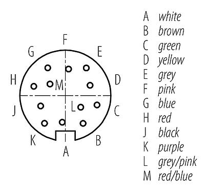 联系安排 (外掛程式側) 77 6430 0000 50712-0200 - M16 直头孔头电缆连接器, 极数: 12, 非屏蔽, 预铸电缆, IP68, PUR, 黑色, 12x0.25mm², 2m