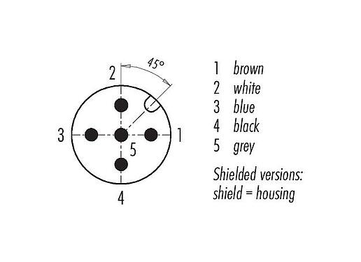 Contact arrangement (Plug-in side) 77 3529 0000 20705-0200 - M12 Male cable connector, Contacts: 5, shielded, moulded on the cable, IP67, UL, PVC, grey, 5 x 0.25 mm², 2 m