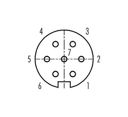 Contact arrangement (Plug-in side) 99 0622 02 07 - Bayonet Female cable connector, Contacts: 7, 6.0-8.0 mm, unshielded, solder, IP40