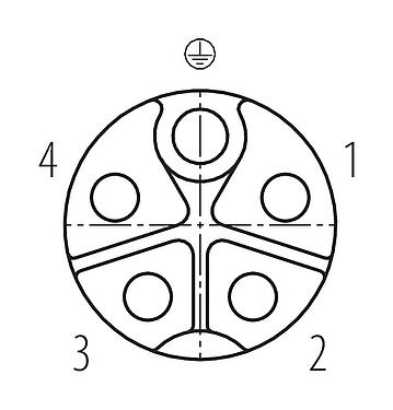 联系安排 (外掛程式側) 99 0700 37 05 - M12 直头孔头电缆连接器, 极数: 4+PE, 8.0-13.0mm, 非屏蔽, 螺钉接线, IP67, UL 2237正在准备中, 带PE接口