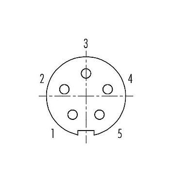 Contact arrangement (Plug-in side) 09 4916 080 05 - Push Pull Female panel mount connector, Contacts: 5, unshielded, solder, IP67, front fastened