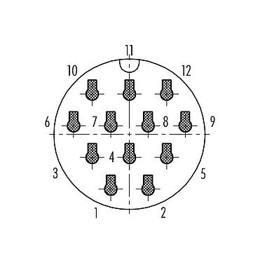 联系安排 (外掛程式側) 99 6517 100 12 - 卡扣式 直头针头电缆连接器, 极数: 12, 7.0-13.0mm, 非屏蔽, 压接（压接触点必须单独订购）, IP68/IP69K, UL, VDE