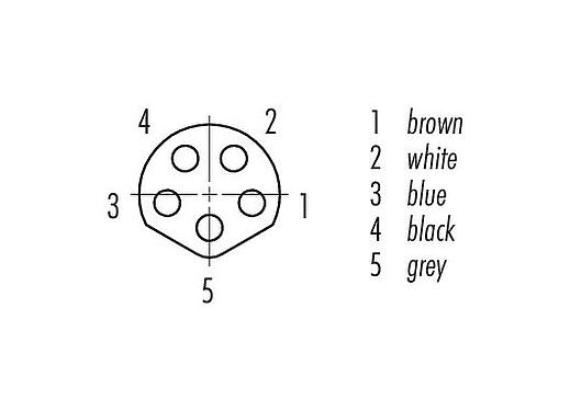 联系安排 (外掛程式側) 77 3408 0000 50005-0500 - M8 弯角孔头电缆连接器, 极数: 5, 非屏蔽, 预铸电缆, IP67, UL, PUR, 黑色, 5x0.34mm², 5m