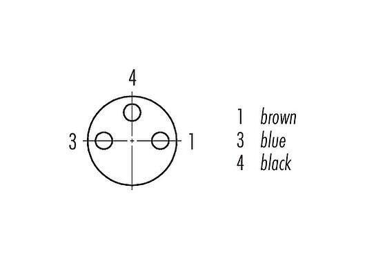 Contact arrangement (Plug-in side) 76 6218 1111 00003-0200 - M8 Female panel mount connector, Contacts: 3, unshielded, single wires, IP67, UL, M10x0.75