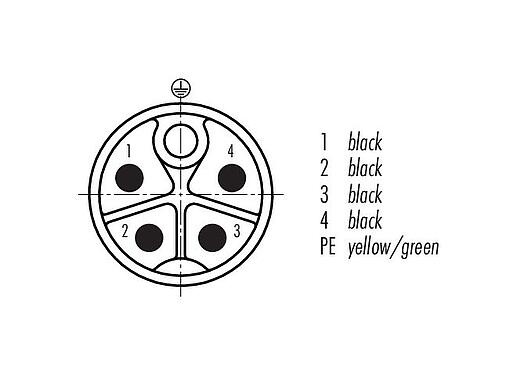 联系安排 (外掛程式側) 09 0701 300 05 - M12 针头法兰座, 极数: 4+PE, 非屏蔽, 带导线, IP68, UL, M16x1.5, 可从板前拧紧