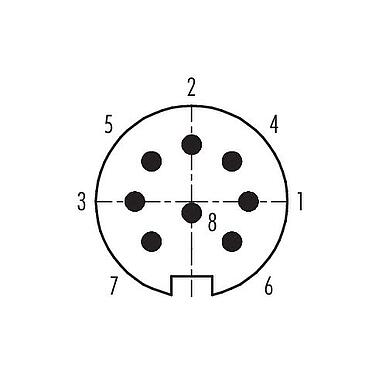 联系安排 (外掛程式側) 99 4829 00 08 - Push Pull 直头针头电缆连接器, 极数: 8, 4.0-8.0mm, 可接屏蔽, 焊接, IP67