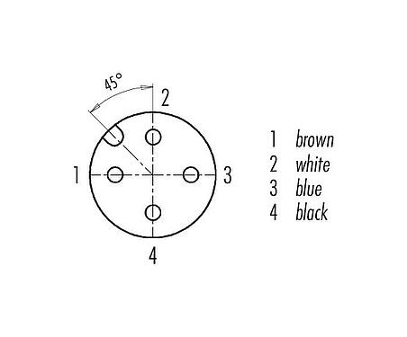 Contact arrangement (Plug-in side) 09 3432 284 04 - M12 Female panel mount connector, Contacts: 4, unshielded, single wires, IP69K, M16x1.5, for outdoor