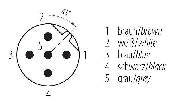 Contact arrangement (Plug-in side) 76 0533 1011 00105-0200 - M12 Male panel mount connector, Contacts: 5, unshielded, single wires, IP68, UL 2238, PG 9, Rear mounting